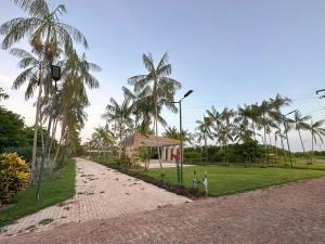 a dirt road with palm trees and a building at Villa'S Roraima - Pousada & Natureza in Boa Vista