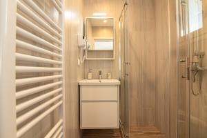 a bathroom with a sink and a mirror and a shower at Levada Apartment in Avlón