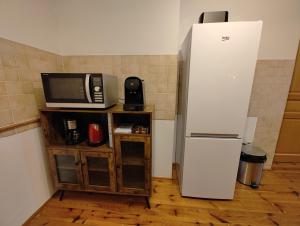 eine Küche mit einem Kühlschrank und einer Mikrowelle in der Unterkunft Cosy Triplex 3 chambres in Pont-de-lʼArche