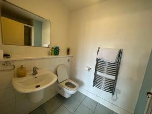 La salle de bains est pourvue de toilettes blanches et d'un lavabo. dans l'établissement Ensuite Double Bedroom In Shared Apartment, à Birmingham