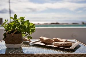 una mesa con un plato de rocas y una planta en Casa Tagoo Mykonos, en Tagou