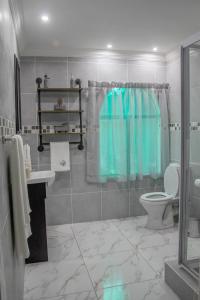a bathroom with a blue shower curtain and a toilet at Villa La Sola B&B and Self-Catering in Boksburg