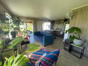 sala de estar con sofá azul y algunas plantas en Casa de Campo full equipada en San Vicente de Taguatagua