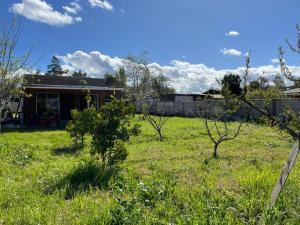 Afbeelding uit fotogalerij van Casa Tagua Tagua - Full Equipada y Plantas Boutique in San Vicente de Taguatagua +4 foto's