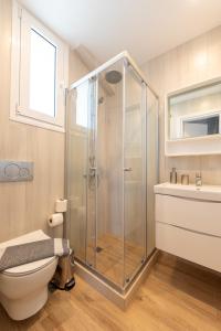 a bathroom with a shower and a toilet at Masticha Apartment in Oinófita