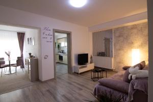 Il comprend un salon doté d'un canapé et d'une télévision. dans l'établissement Happy Residence Sibiu, à Sibiu
