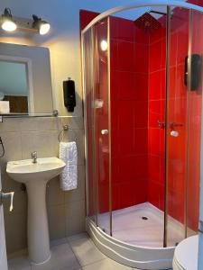 a bathroom with a shower and a sink at Hotel Boutique Casa&Alma in Puerto Varas