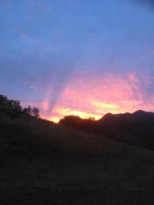 um pôr-do-sol numa colina com um campo e árvores em Villa millefiori falda argentera em Sauze di Cesana