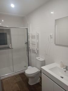 een badkamer met een douche, een toilet en een wastafel bij Casa Amado Fundão in Fundão