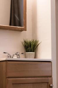 um lavatório de casa de banho com um espelho e um vaso de plantas em Pyramid Nightly Stays em São Francisco
