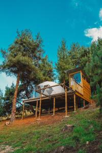 ein Baumhaus mit einem Dach auf einer Plattform in der Unterkunft Alma de Campo Glamping - Laguna de Suesca in Suesca