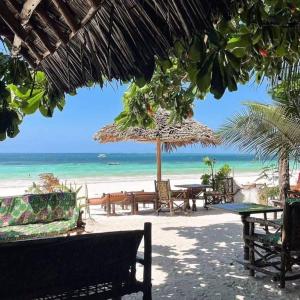 基萬嘎的住宿－Sipano Beach Lodge Kiwengwa，海滩上设有桌椅,大海上设有沙滩