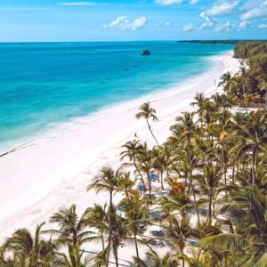 a view of a beach with palm trees and the ocean at Sipano Beach Lodge Kiwengwa in Kiwengwa