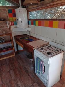 a small kitchen with a stove and a sink at BAJO EL ÑIRE in San Carlos de Bariloche