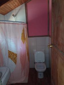 a small bathroom with a toilet and a sink at BAJO EL ÑIRE in San Carlos de Bariloche