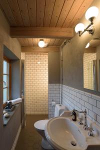 un bagno con lavandino, WC e specchio di Mellby Atelier på Österlen a Kivik Altre 104 foto