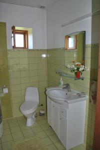 a bathroom with a toilet and a sink at Rozītes in Cesvaine