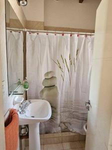 een badkamer met een wastafel en een douchegordijn bij Departamento Alto Malbec in La Cieneguita