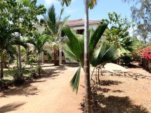 a palm tree in front of a house at Delicious House, Watamu 2-bedroom with own compound free parking and wifi in Watamu