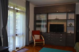 sala de estar con TV y silla en Gavri's Relaxing Place, en Brasov