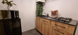 een keuken met een zwarte koelkast en een aanrecht bij Radu's Room in Curtea de Argeş
