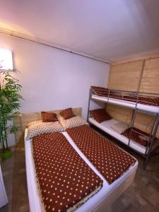 1 Schlafzimmer mit 2 Etagenbetten in einem Zimmer in der Unterkunft Apartmány u náměstí in Prachatice