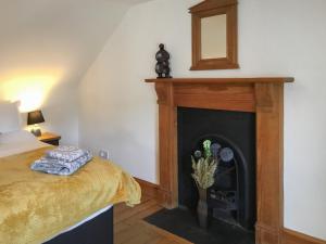 a room with a fireplace with a bed and a mirror at Railway Cottage in Bishops Castle