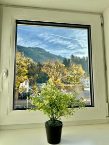 a potted plant sitting in front of a window at Central Kitz Apartments in Kitzbühel +8 photos