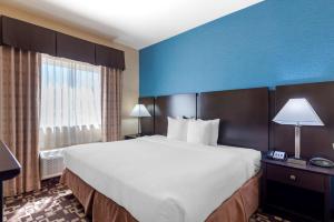 Postel nebo postele na pokoji v ubytování Best Western Plus Arlington North Hotel & Suites