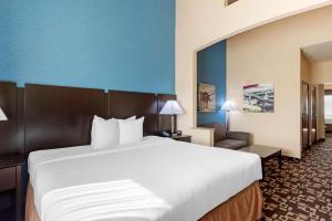 Postel nebo postele na pokoji v ubytování Best Western Plus Arlington North Hotel & Suites