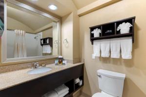Koupelna v ubytování Best Western Plus Arlington North Hotel & Suites