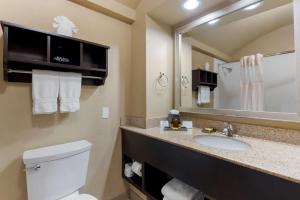 Koupelna v ubytování Best Western Plus Arlington North Hotel & Suites