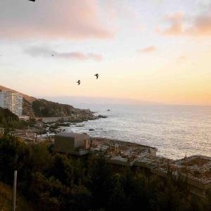 two birds flying in the sky over the ocean at Hermoso y tranquilo departamento frente al mar. in Concón