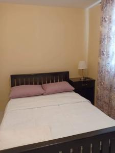 um quarto com uma cama grande e almofadas roxas em Al-Ed Home em Butuan