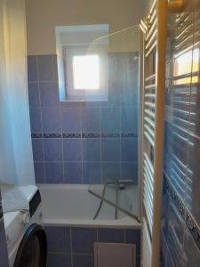 a blue tiled bathroom with a tub and a window at Apartment Riegerovka in Cheb