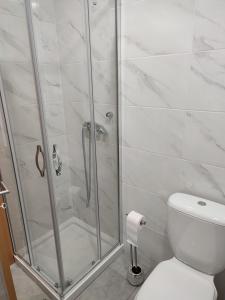 a bathroom with a shower and a toilet at Penedo Grande suítes Estúdio in São Bartolomeu de Messines