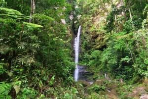 a waterfall in the middle of a lush green forest at CAMAS & CAFÉ 24 Horas Express in Tarapoto