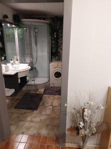 a bathroom with a sink and a shower and a toilet at Lillas Ferien Wohnung in Teufenbach
