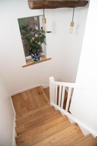 a staircase in a house with a potted plant at Happy staying in Wythenshawe