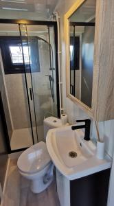 a bathroom with a toilet and a sink and a shower at Ma maison sur L'eau - Lac du Der in Giffaumont