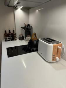 a toaster sitting on top of a kitchen counter at Cabaña KILI Cabra Corral in Coronel Moldes