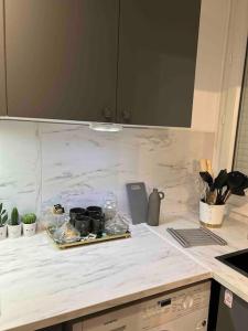 una barra de cocina con una bandeja de comida. en Proche PARIS, Aéroport ORLY, charmant 2 pièces, en Orly