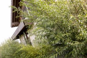 un edificio con un árbol junto a una ventana en Vakantiewoning StroEnzo, en Riemst