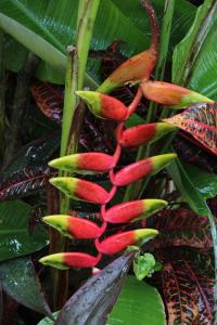 Foto dalla galleria di Bungalows Las Tortugas a Lo de Marcos