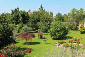 Zahrada ubytování B&B Le Lune