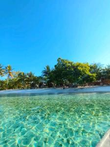 Φυσικό τοπίο κοντά σε αυτός ο ξενώνας +25 φωτογραφίες