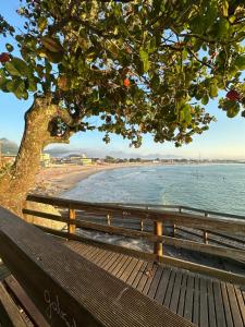 a bench under a tree next to a beach at Apartamento encantador próximo a Praia Brava in Matinhos