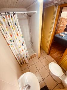 ein Bad mit einem Duschvorhang und einem WC in der Unterkunft HOSTAL MIRAFLORES in Puerto Natales
