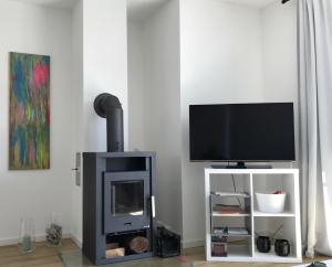 TV a/nebo společenská místnost v ubytování Schwedenhaus Idyll