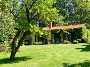 Κήπος έξω από το Remise Anker links